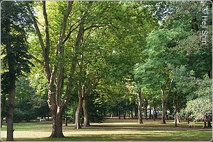 Luitpoldpark (Bad Kissingen, Rhön)