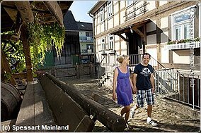 Altstadt (Bad Soden-Salmünster, Spessart-Mainland)