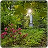 Dendrologischer Garten (Bad Berneck, Fichtelgebirge)