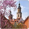 Stadtkirche St. Kilian (Bad Windsheim, Steigerwald)