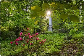 Dendrologischer Garten (Bad Berneck, Fichtelgebirge)