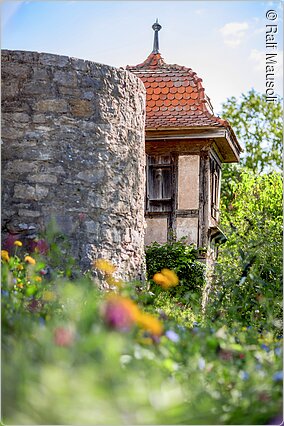 Stadtmauer (Bad Neustadt, Rhön)