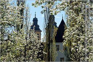 Türme der Schlosskirche und der untere Torbau (Bad Mergentheim, Liebliches Taubertal)