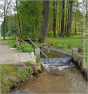 Naturkneippbecken im Kurpark (Bad Alexandersbad, Fichtelgebirge)